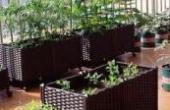 有多少人是因为这个阳台而关注我的。#阳台养花种菜(8.3分生活片)