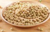 黄豆怎样变成“万能肥”？教你如何处理，养花比淘米水还好用(8.3分生活片)