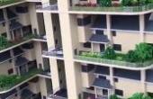 广东建设中的第四代住房，车停家门口，还能种菜养花(8.3分生活片)